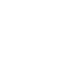 Head