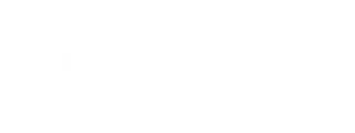 Never Summer Snowboards